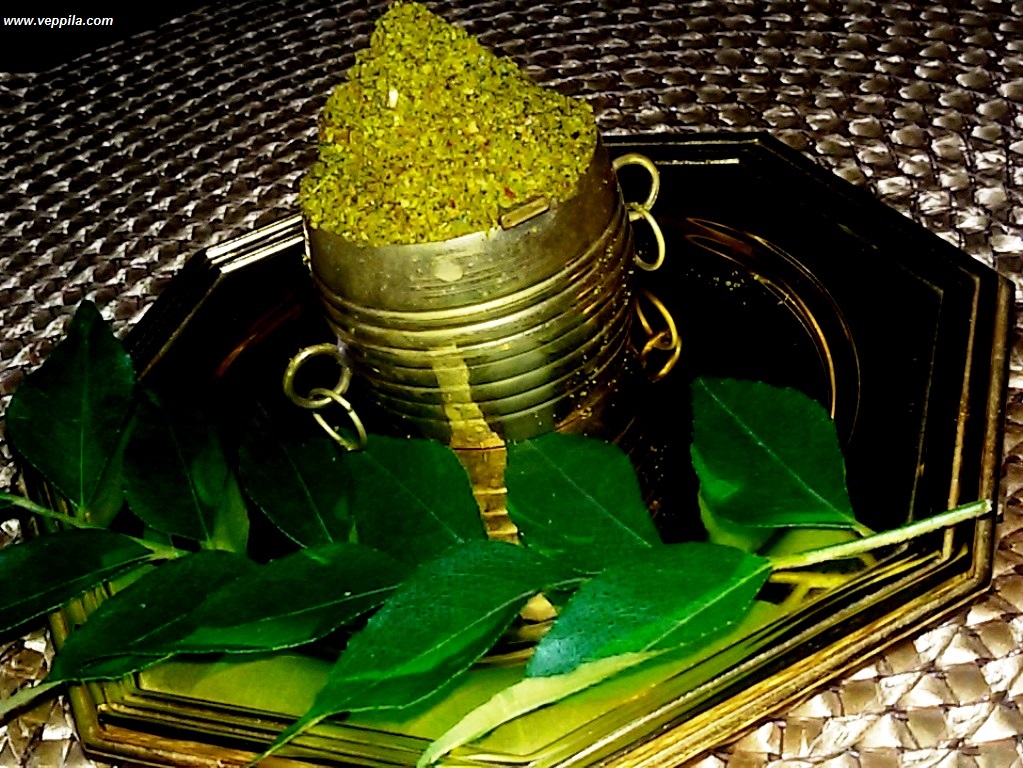 CURRY LEAVES CHUTNEY PODI